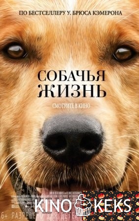 Собачья жизнь