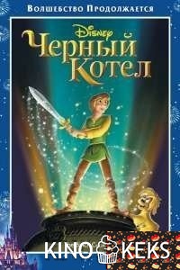 Черный котел