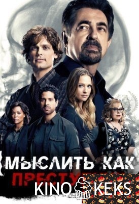 Мыслить как преступник 12 сезон