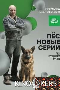 Пёс 3 сезон
