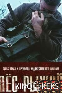 Пёс рыжий