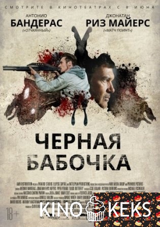 Черная бабочка