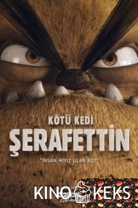 Плохой кот Шерафеттин
