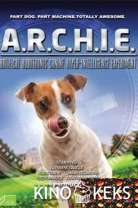 Арчи
