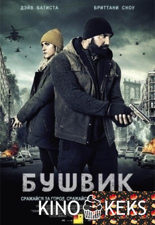 Бушвик