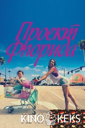 Проект Флорида
