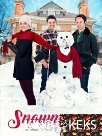 Снежный роман