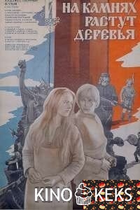 И на камнях растут деревья