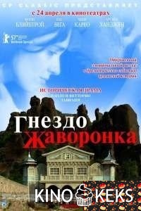 Гнездо жаворонка