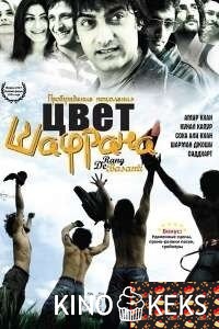 Цвет шафрана