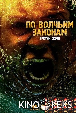 По волчьим законам 3 сезон 1-13 серия