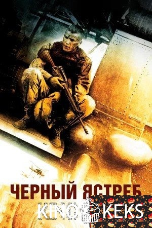 Чёрный ястреб
