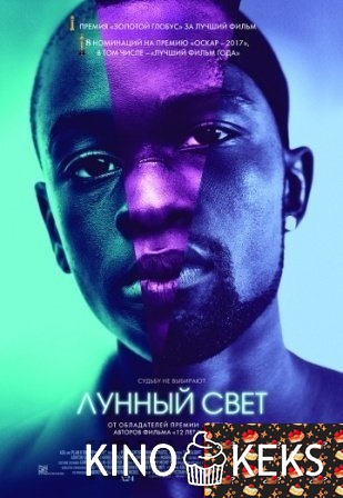 Лунный свет