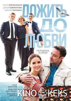 Дожить до любви 1-16 серия