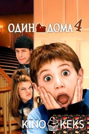 Один дома 4