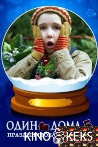 Один дома 5: Праздничное ограбление