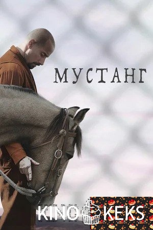 Мустанг