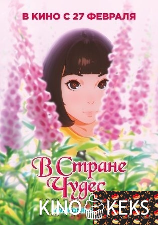 В стране чудес