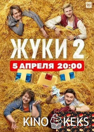 Жуки