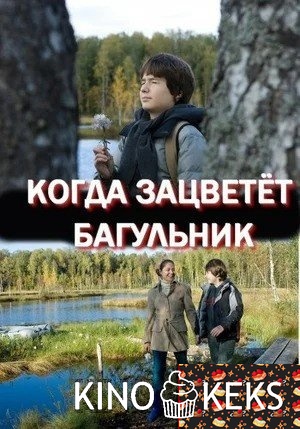 Когда зацветёт багульник