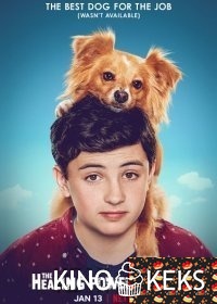 Целебные силы дружка 1 сезон 1-8 серия