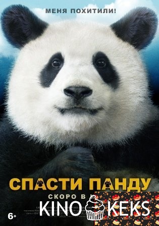Спасти панду