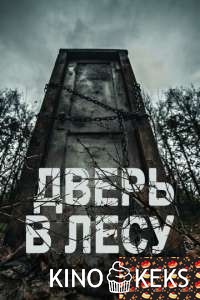 Дверь в лесу