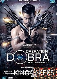 Операция «Кобра»