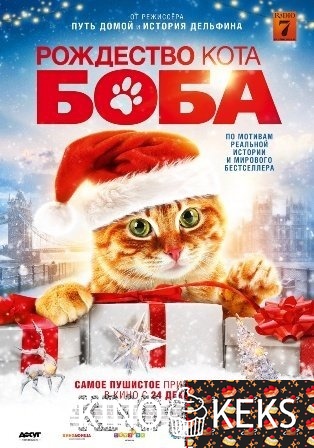 Рождество кота Боба