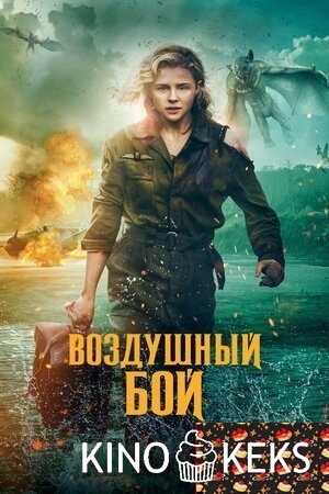 Воздушный бой