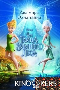 Феи: Тайна зимнего леса