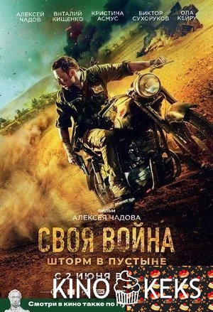 Своя война. Шторм в пустыне