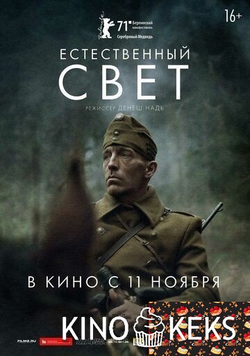 Естественный свет