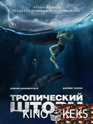 Тропический шторм