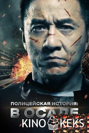 Полицейская история: В осаде