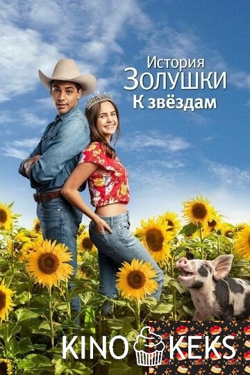 История Золушки: К звездам