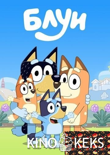 Блуи