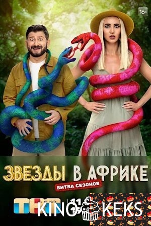 Звезды в Африке