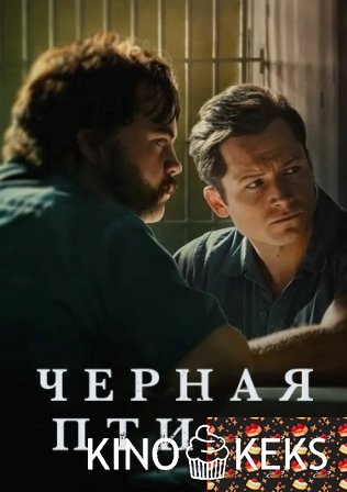 Чёрная птица