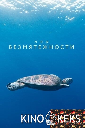 Мир безмятежности 1 сезон 1-10 выпуск