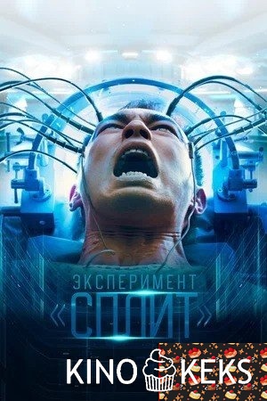 Эксперимент «Сплит»