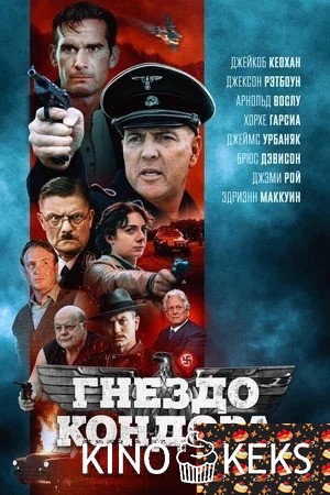 Гнездо кондора