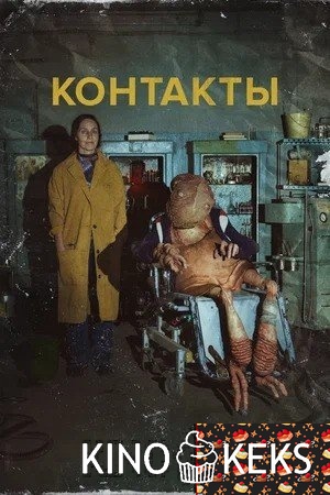 Контакты