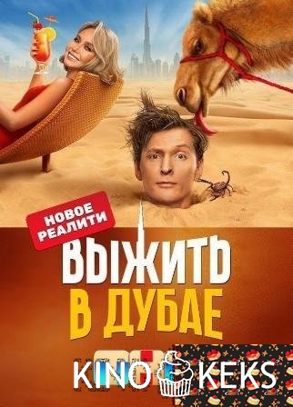 Выжить в Дубае