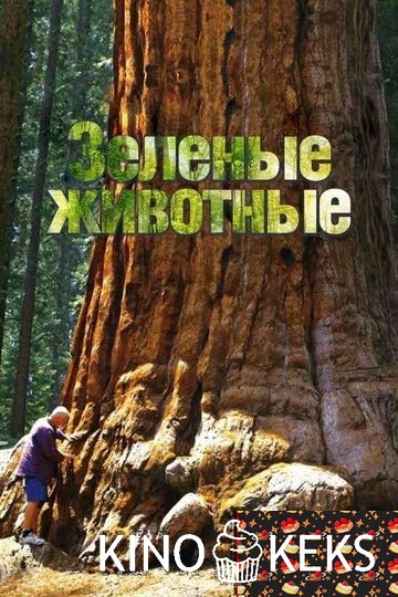 Зелёные животные