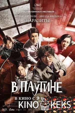 В паутине