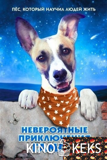 Невероятные приключения Гампи