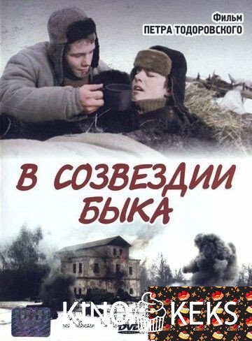 В созвездии быка