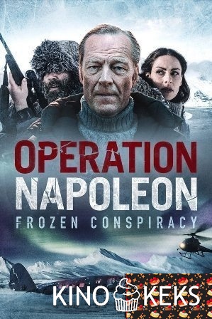 Операция «Наполеон»