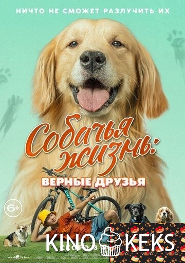 Собачья жизнь. Верные друзья